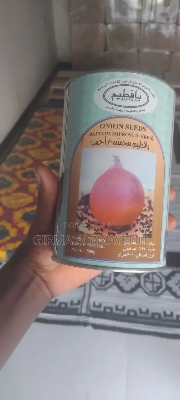 ቀላፎ የቀይ ሽንኩርት ዘር