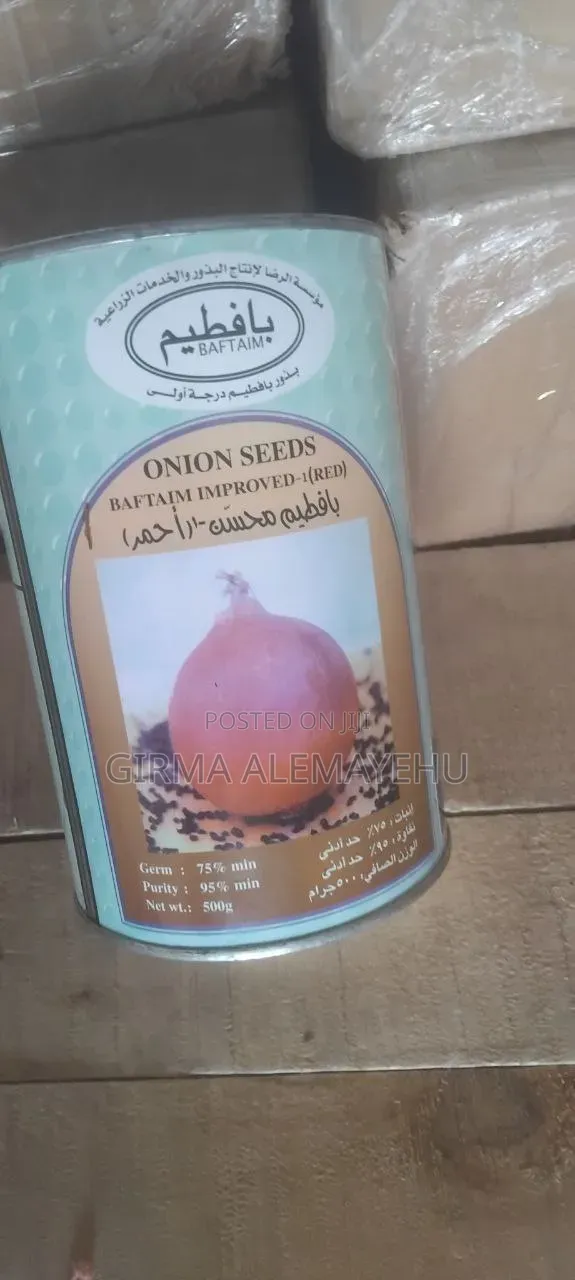 ቀላፎ የቀይ ሽንኩርት ዘር