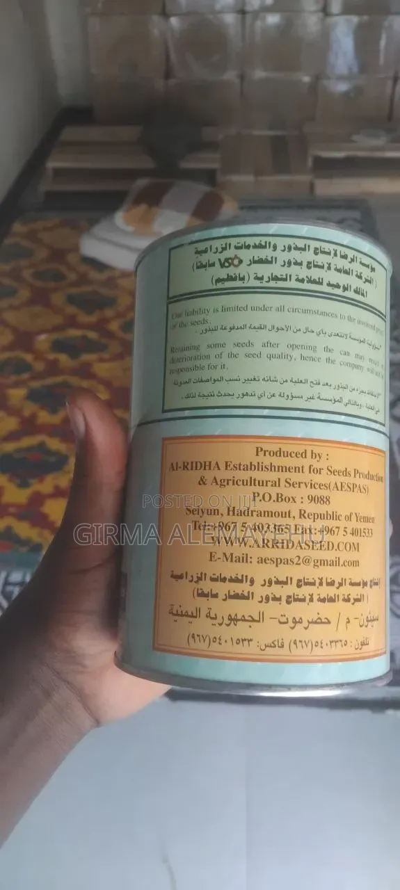 ቀላፎ የቀይ ሽንኩርት ዘር