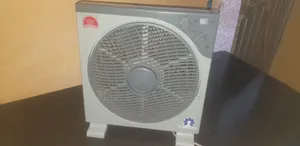 Crown Fan Box