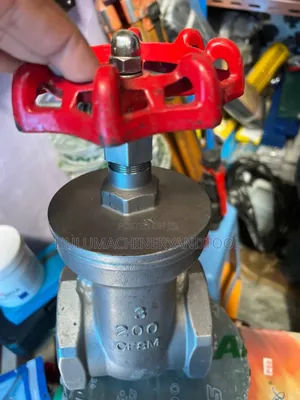Stainless Steel Gate Valve