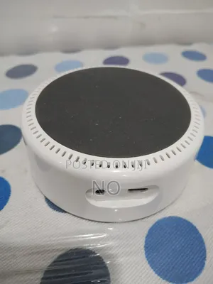 Amazon Echo Dot Speaker