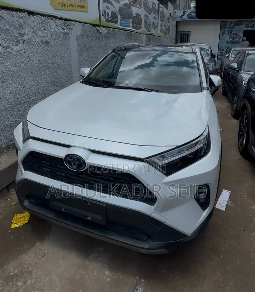 New Toyota RAV4 2024 White