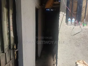 የሚሸጥ ሙሉ ግቢ