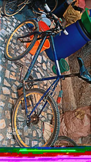 Bicycle Freebike