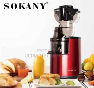Sokany Masticating Extractor Juicer (Model Sk-25 or Je-25),