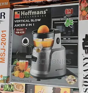 Hoffmans Vertical Slow Juicer 2-in-1 (Model Hm-638)