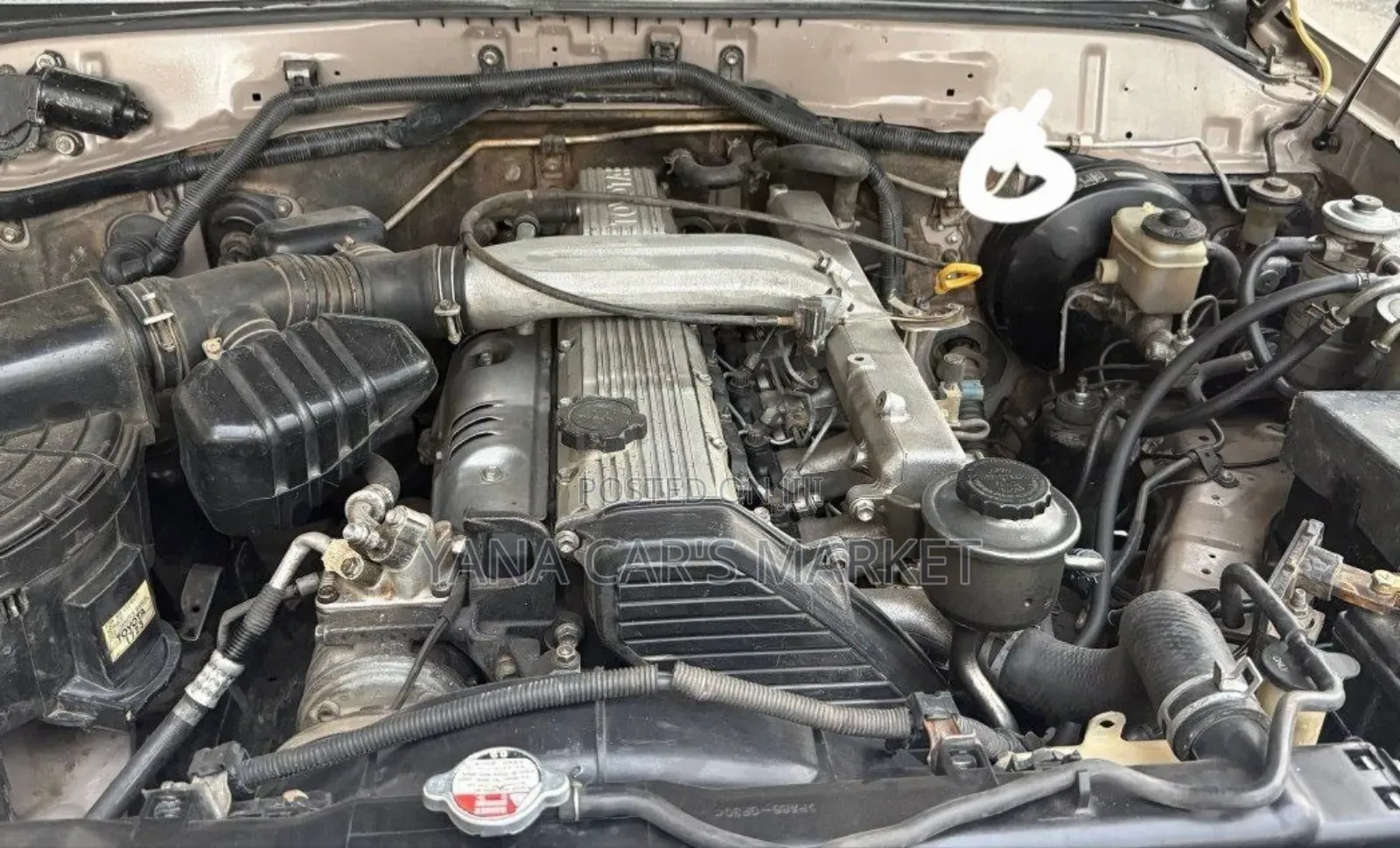 Toyota Land Cruiser 2006 White
