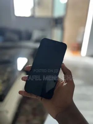 Apple iPhone 12 Pro Max 256 GB Gray