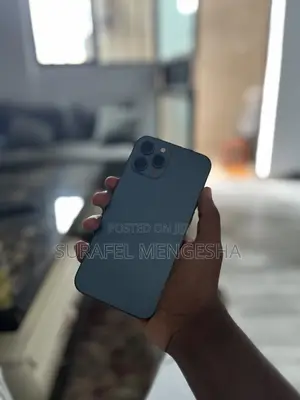 Apple iPhone 12 Pro Max 256 GB Gray