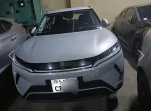 BYD Yuan Up 2024