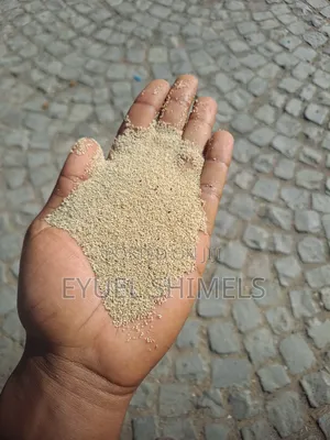 Teff ማኛ ጤፍ