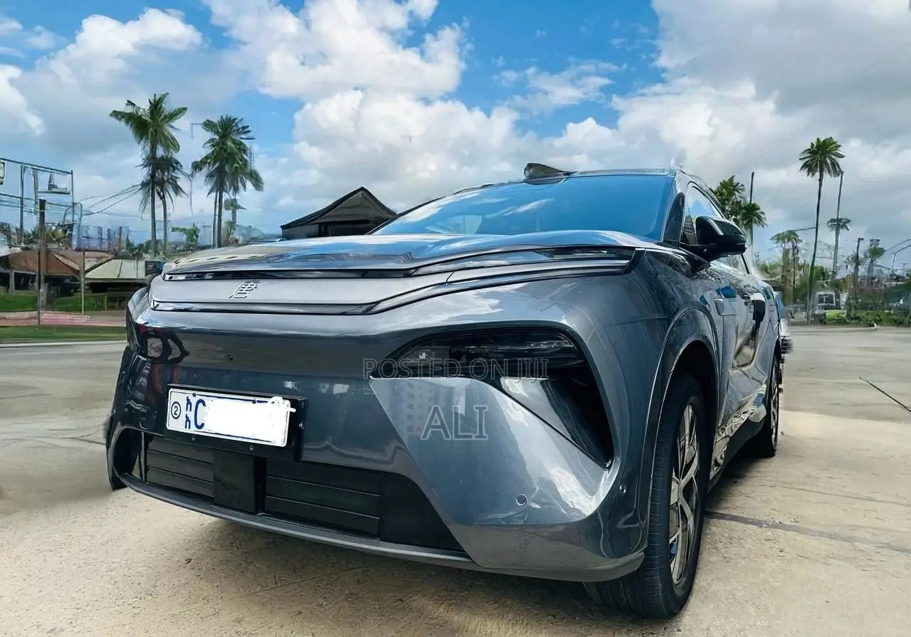BYD Tang EV 2025 Gray
