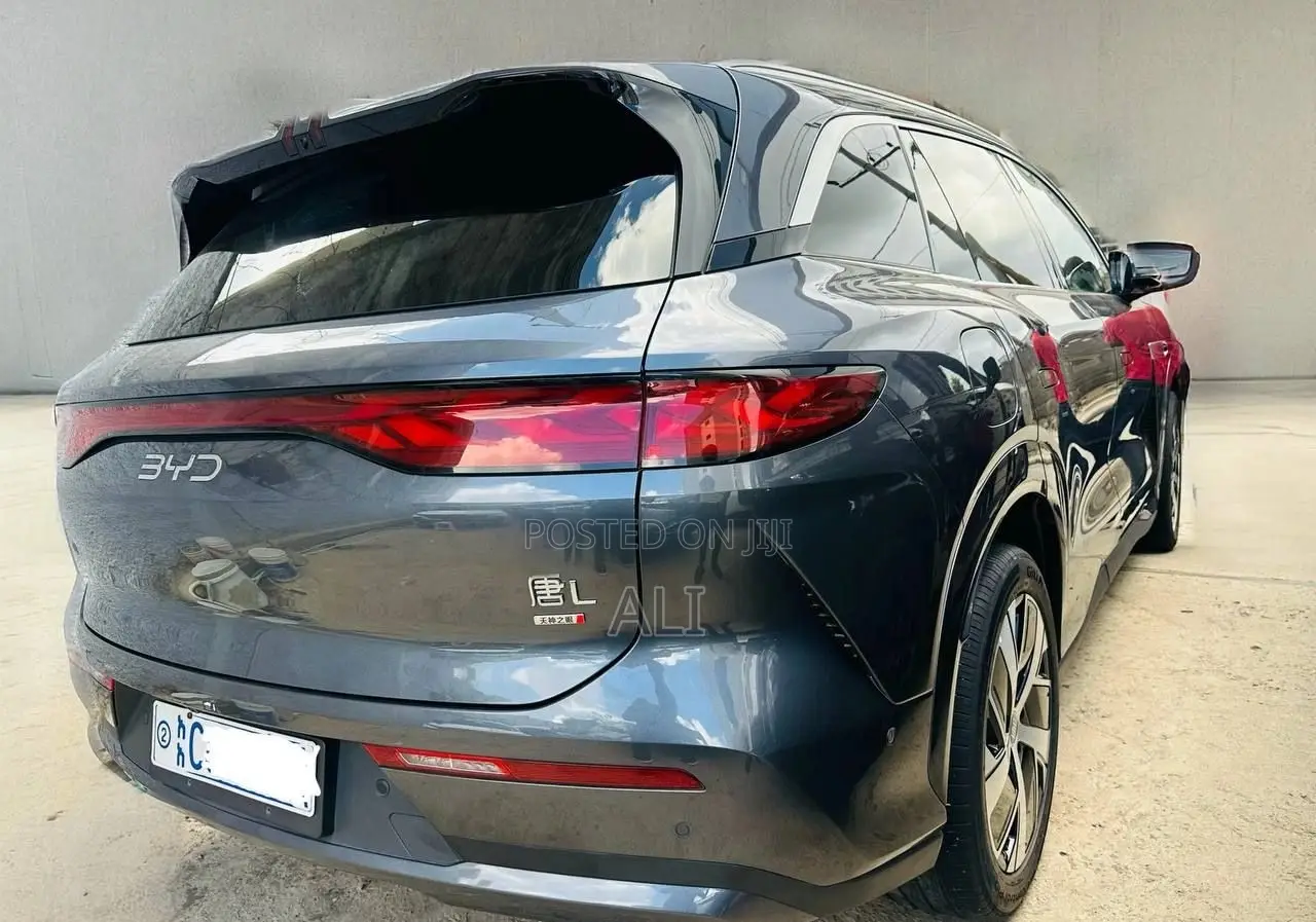 BYD Tang EV 2025 Gray