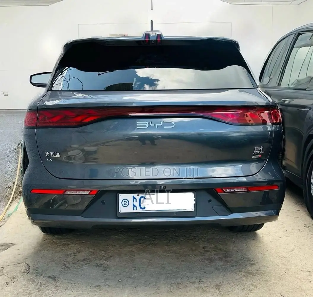 BYD Tang EV 2025 Gray