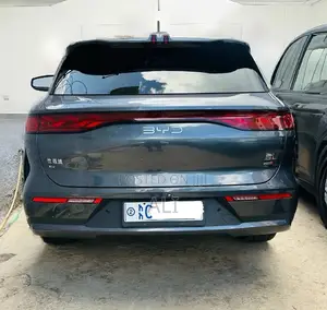 BYD Tang EV 2025 Gray
