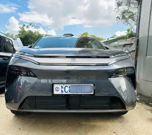 BYD Tang EV 2025 Gray