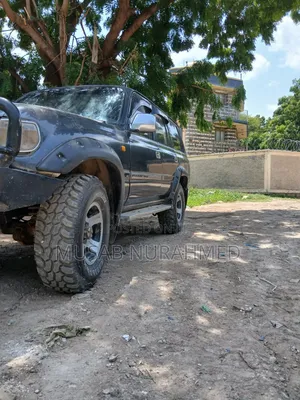 Toyota Land Cruiser 1991 Blue