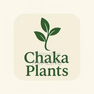 Chaka Plants