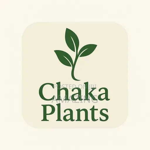 Chaka Plants