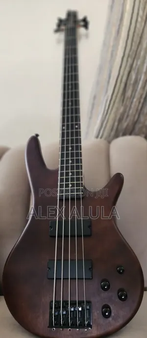 Bass Guitar