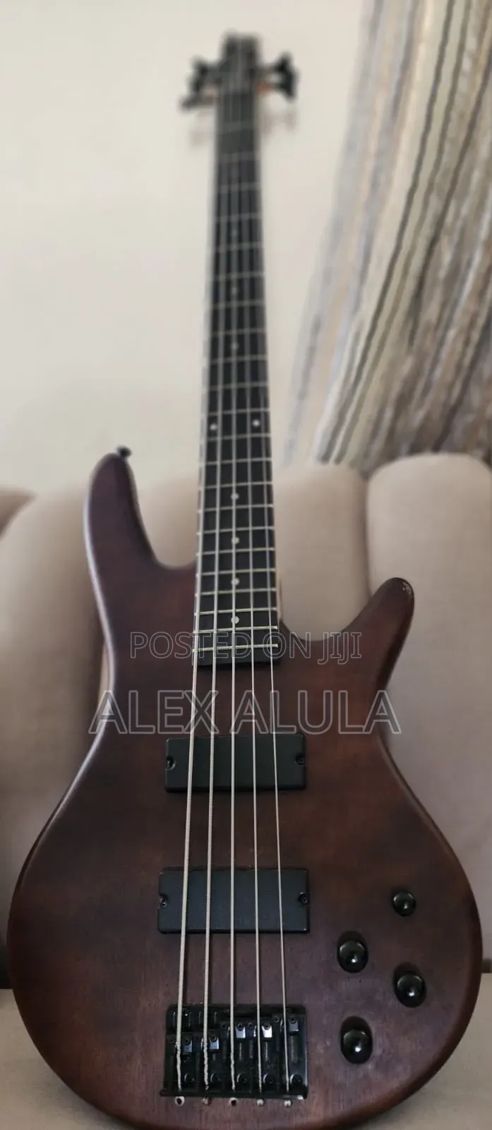 Bass Guitar