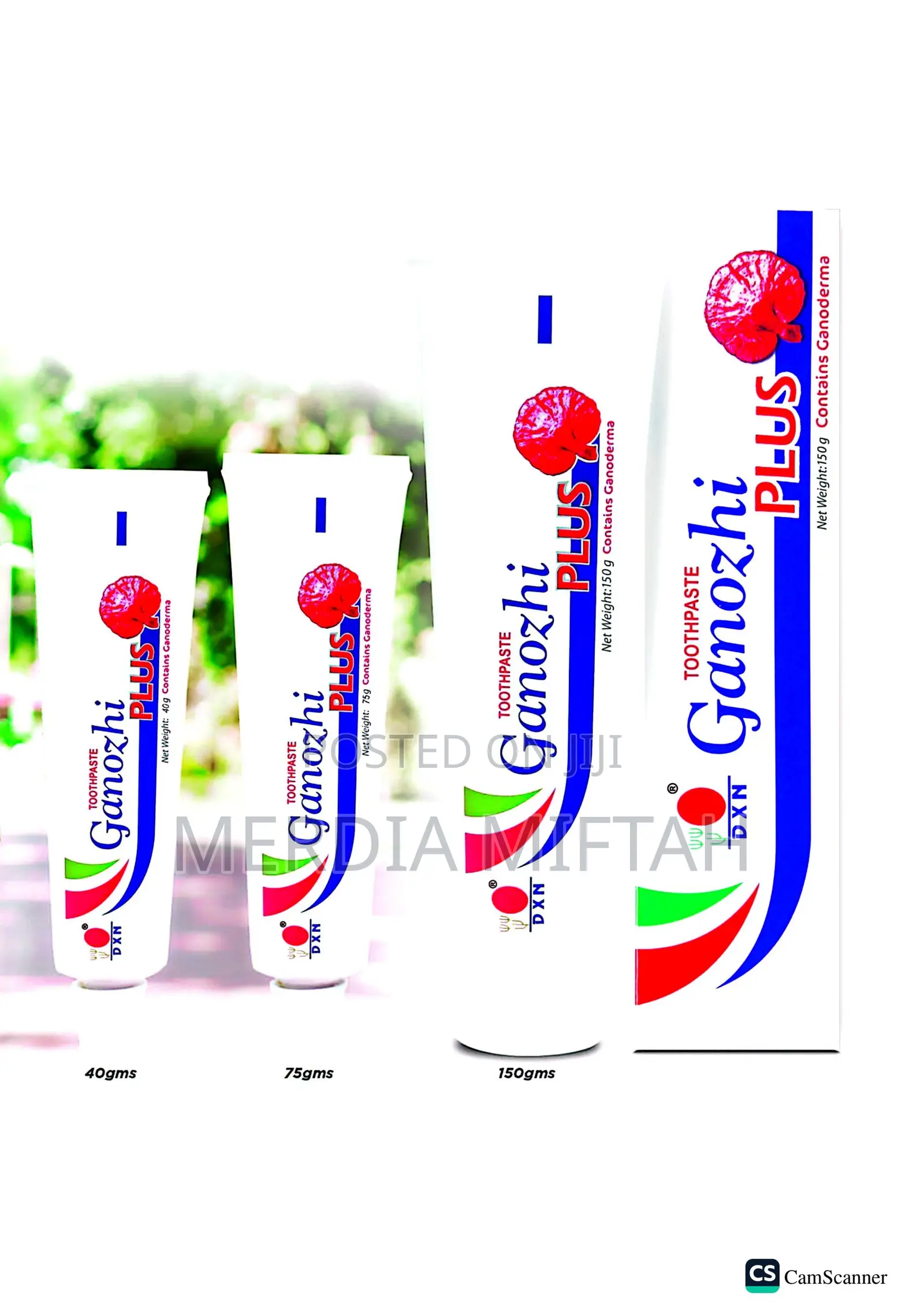 Ganozhi Toothpaste