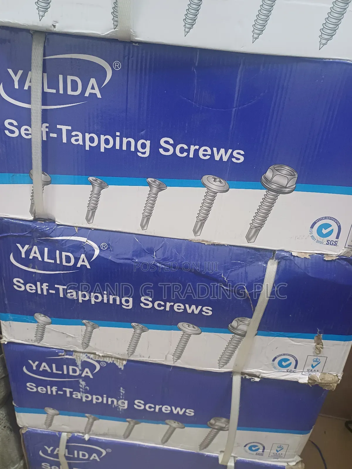 Self Tapping Screws