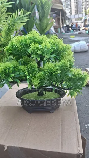 Flowers አበባ
