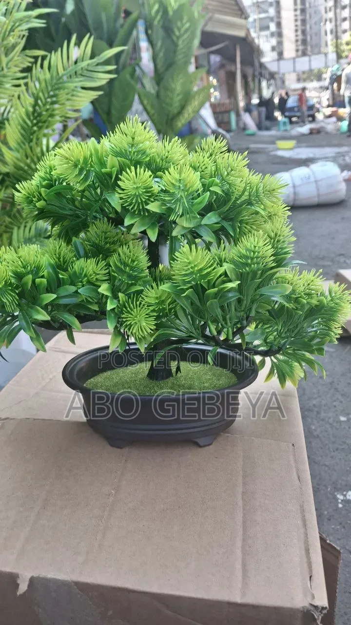 Flowers አበባ