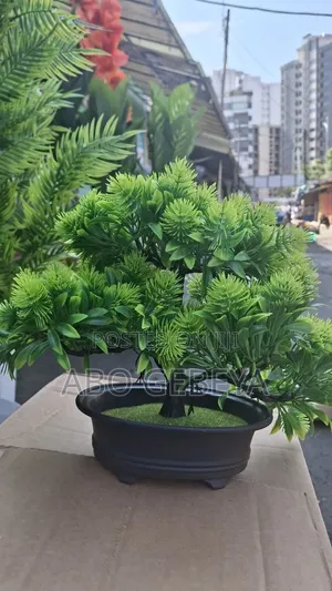 Flowers አበባ