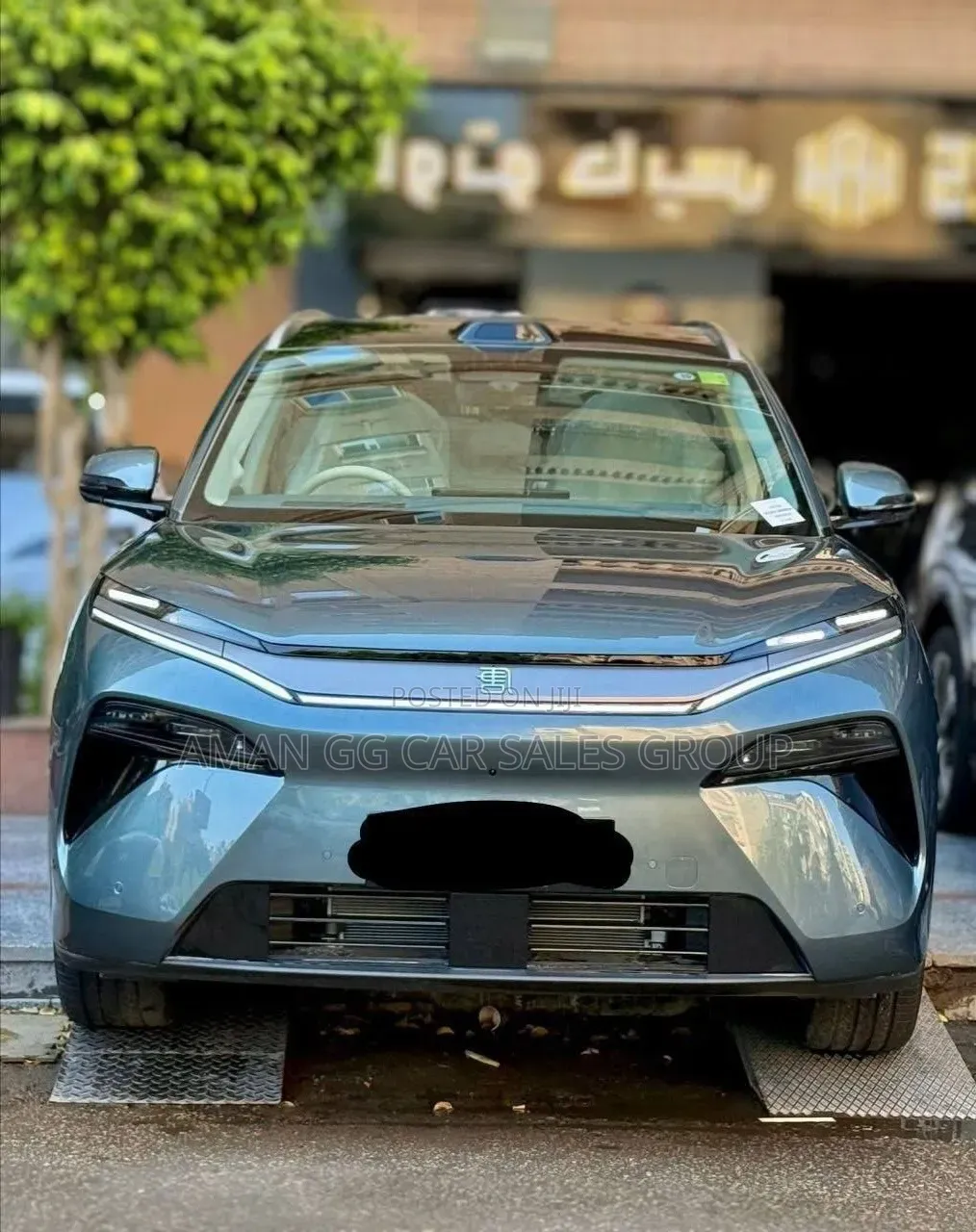 BYD Tang DM-i 2025 Green