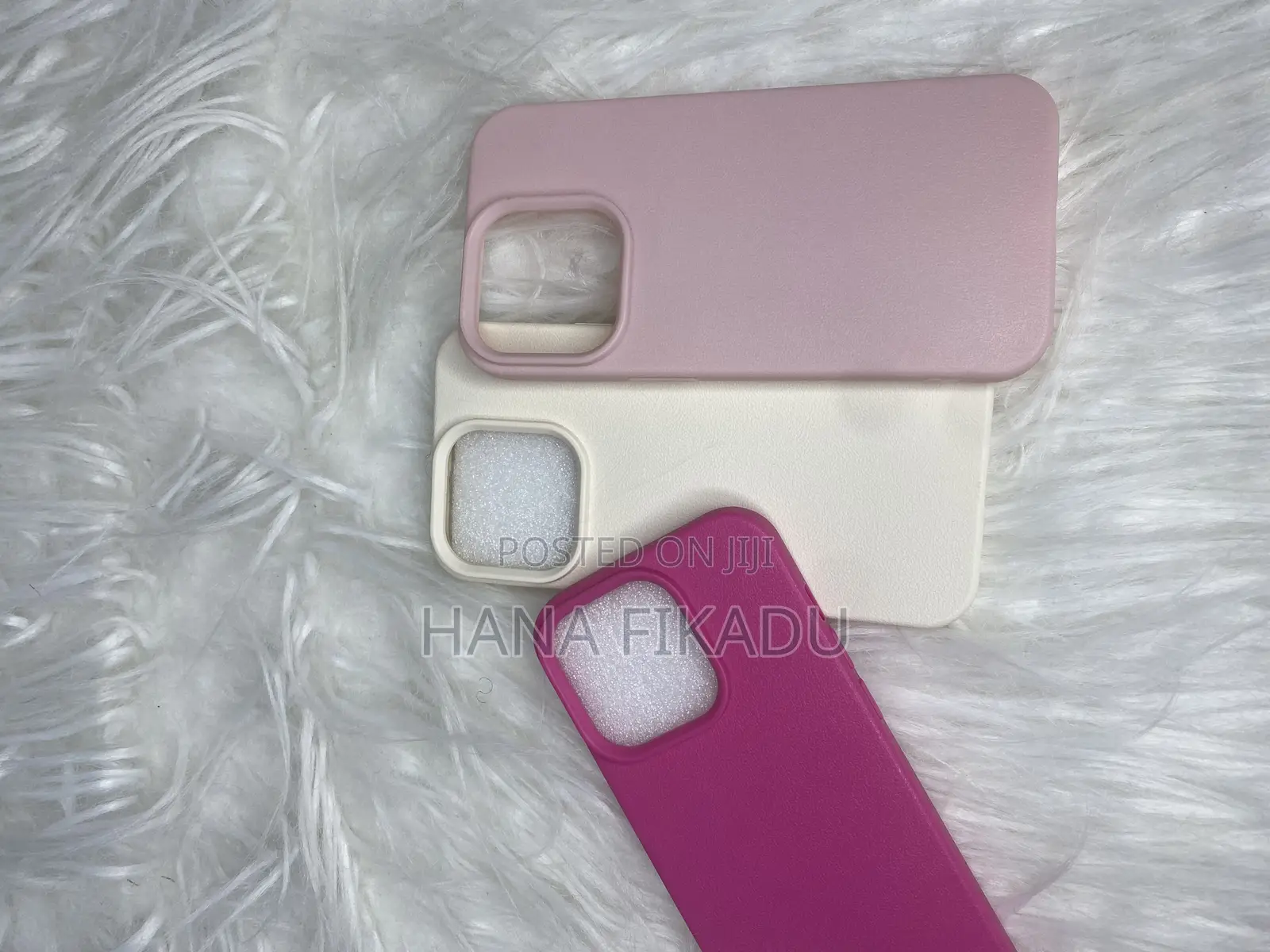 iPhone 13 Pro Case
