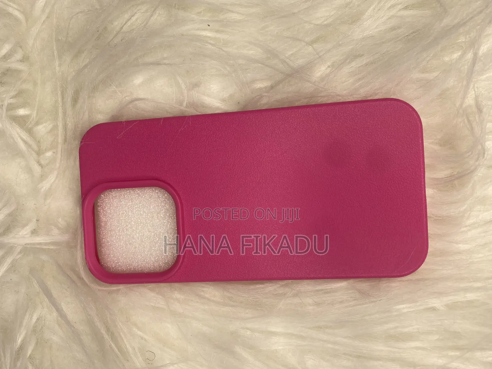 iPhone 13 Pro Case