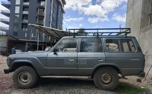 Toyota Land Cruiser 1988 Gray