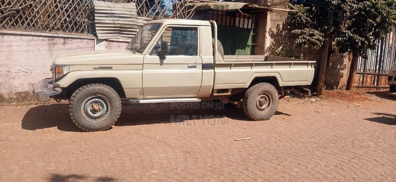 Toyota Land Cruiser 2005 Brown