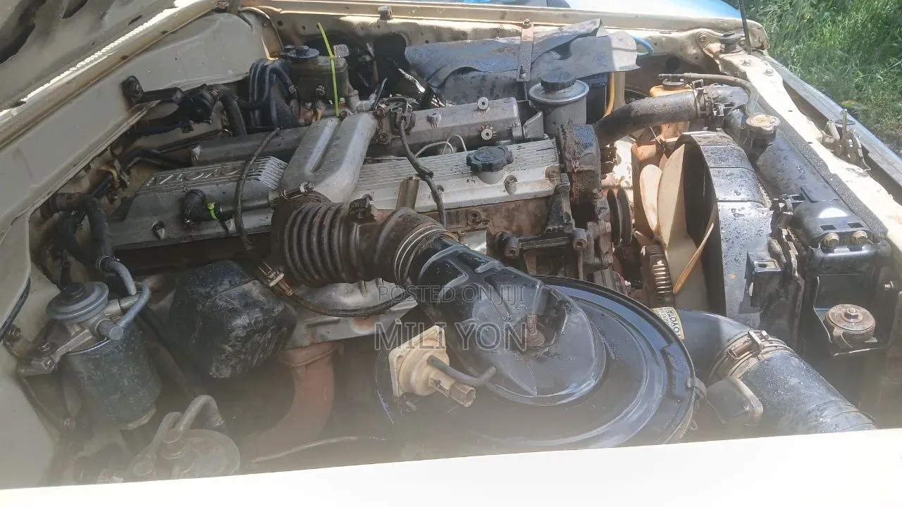 Toyota Land Cruiser 2005 Brown