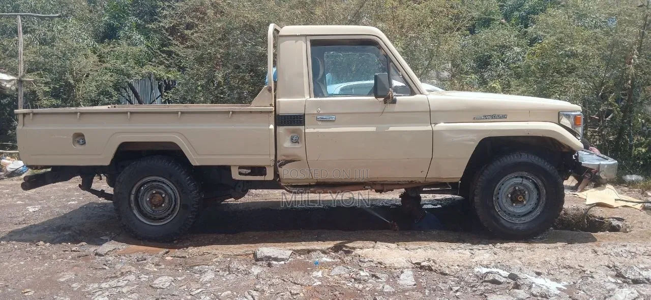 Toyota Land Cruiser 2005 Brown