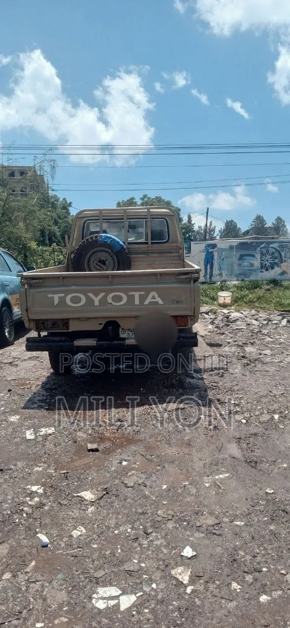 Toyota Land Cruiser 2005 Brown