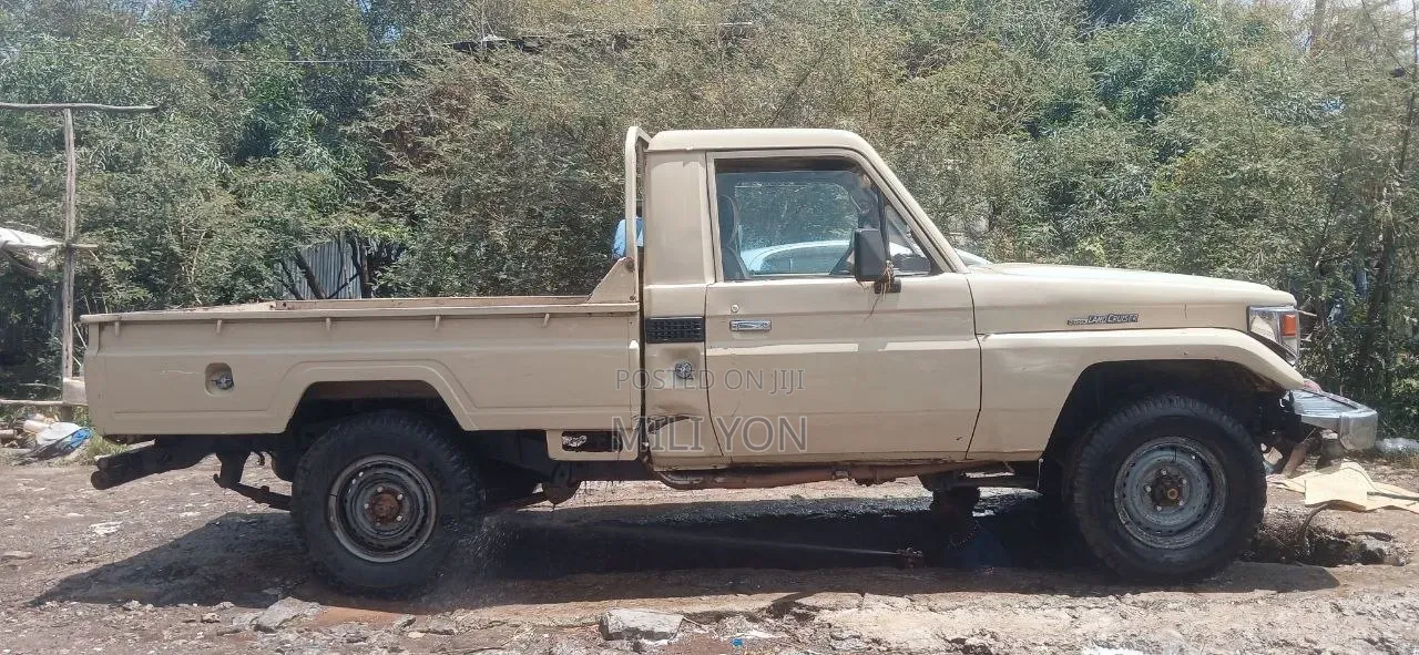 Toyota Land Cruiser 2005 Brown