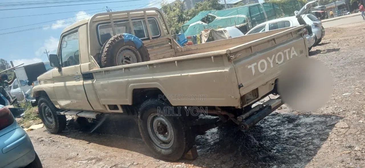 Toyota Land Cruiser 2005 Brown