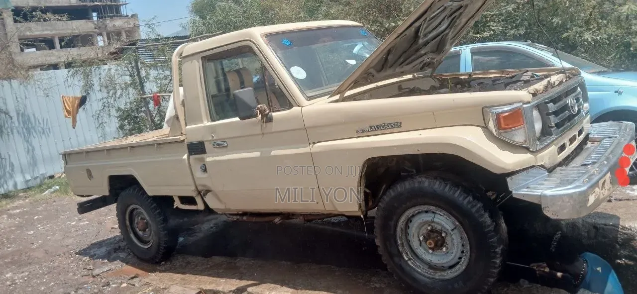 Toyota Land Cruiser 2005 Brown