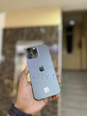 Apple iPhone 13 Pro Max 256 GB Black