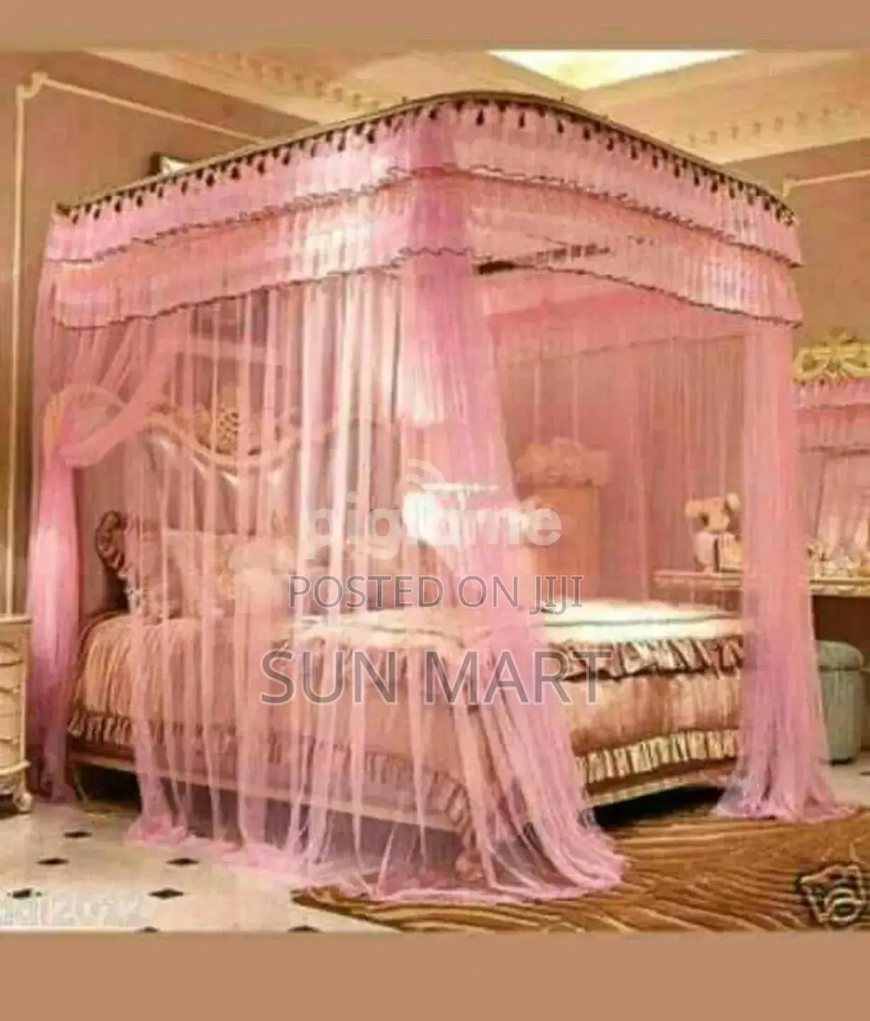 Romantic Mosquito Net