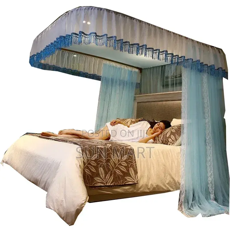 Romantic Mosquito Net