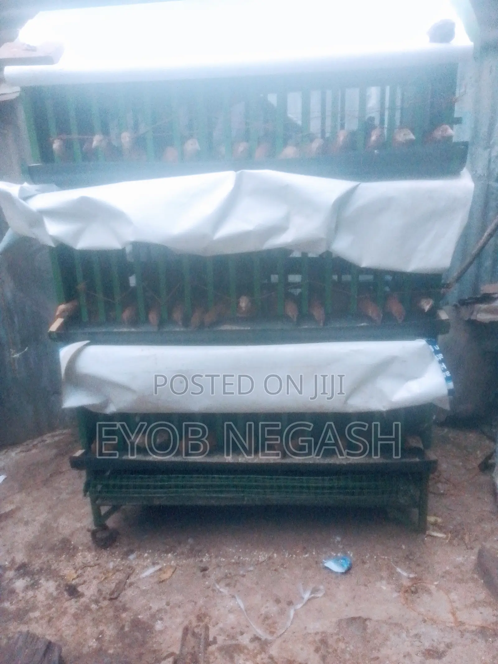 Chicken Cage