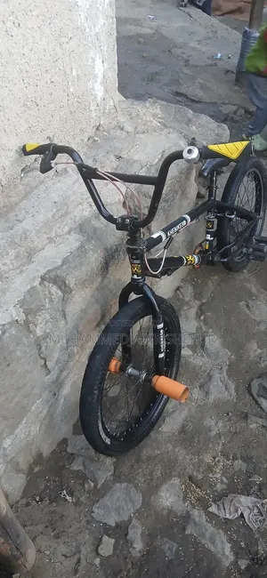 Exercise Bicycles