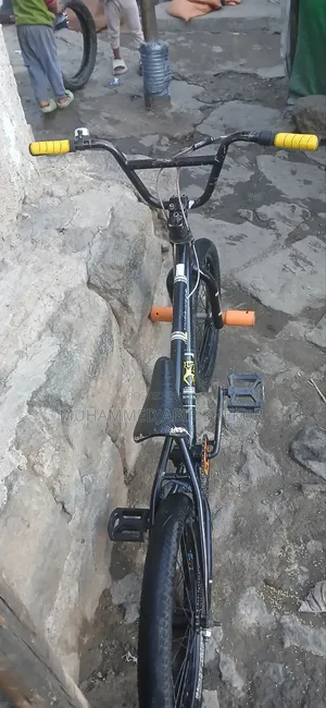 Exercise Bicycles