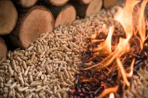 Biomass / Charcoal Pellet ፒሌት ከሰል ነዳጅ ፍጆታን የሚያስቀር