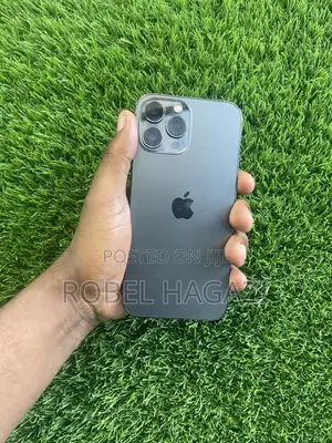 Apple iPhone 13 Pro Max 256 GB Black